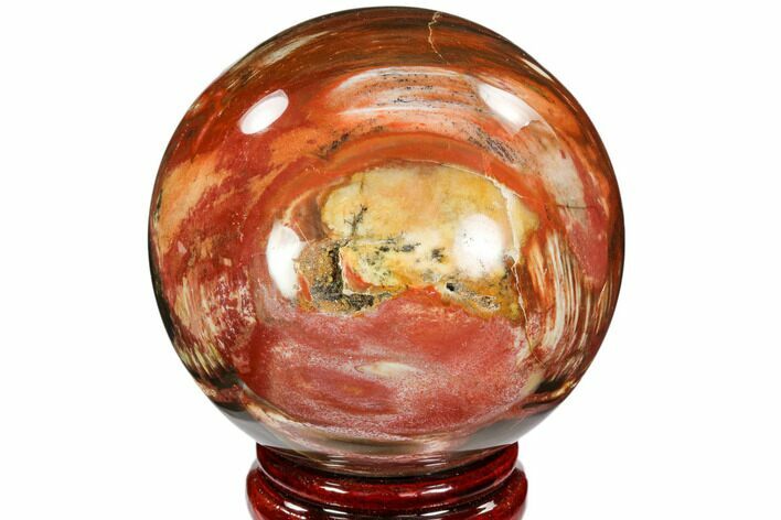 Colorful Petrified Wood Sphere - Madagascar #106981